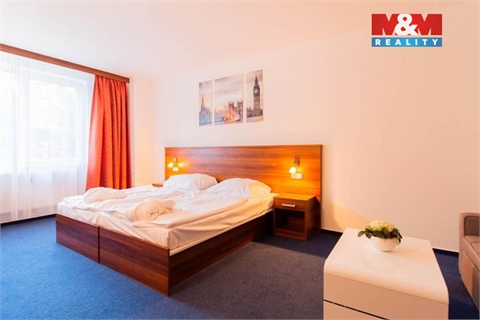 Prodej bytu 1+1, 42 m² 10