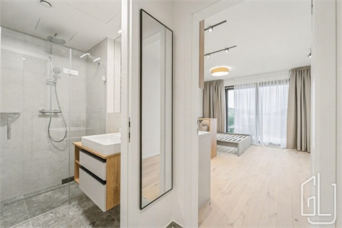 Pronájem bytu 1kk, 29 m² - 2