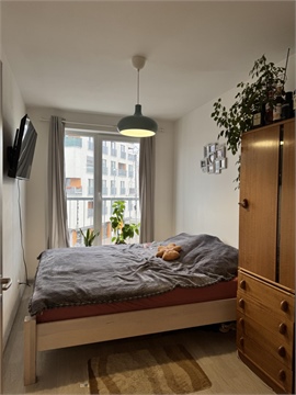 Pronájem bytu 4kk, 80 m² 6