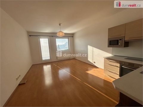 Pronájem bytu 1kk, 33 m² - 12