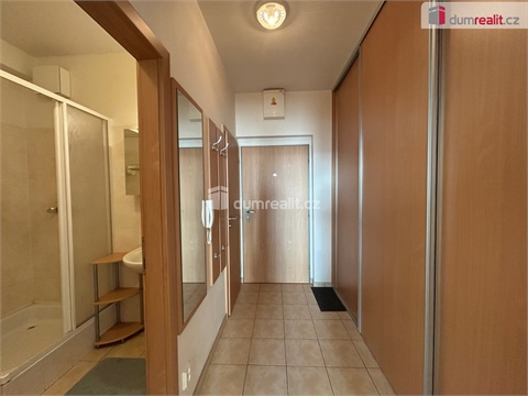 Pronájem bytu 1kk, 33 m² 6