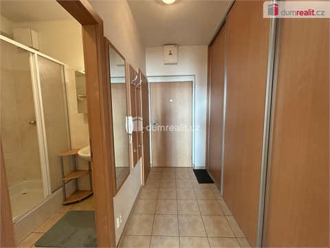 Pronájem bytu 1kk, 33 m² - 8