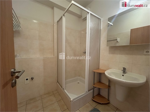 Pronájem bytu 1kk, 33 m² 14