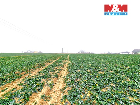 Prodej stavebního pozemku, 5 343 m² 64