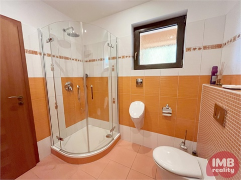 Prodej rodinného domu, 313 m² 6