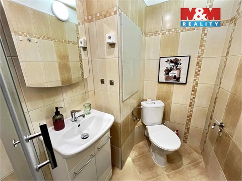 Pronájem bytu 2+1, 55 m² 10