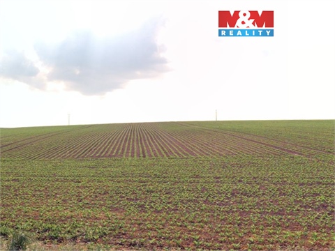 Prodej zemědělské půdy, 2 579 m² 0