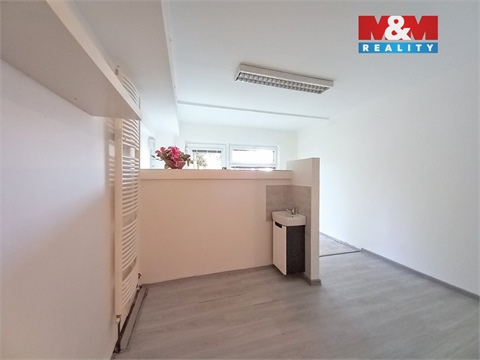Pronájem obchodních prostor, 20 m² - 4