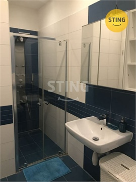 Pronájem bytu 2kk, 38 m² 12