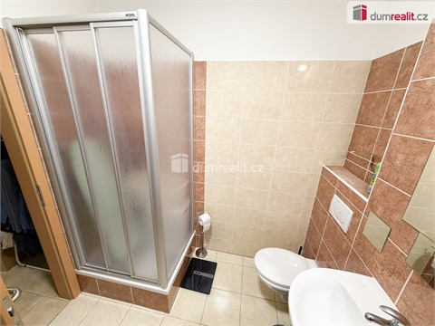 Pronájem rodinného domu, 180 m² 12