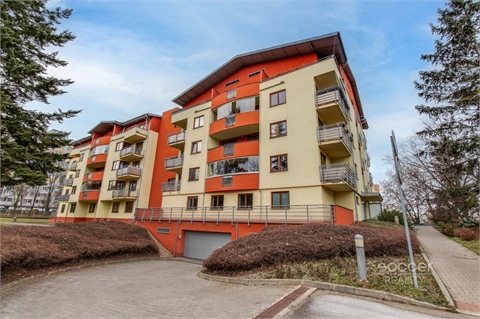 Pronájem bytu 1kk, 59 m² 22