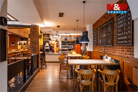 Prodej obchodních prostor, 890 m² - 20