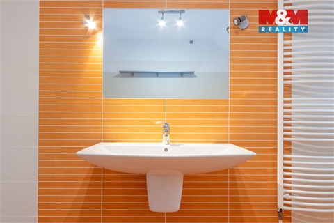 Prodej rodinného domu, 330 m² - 10