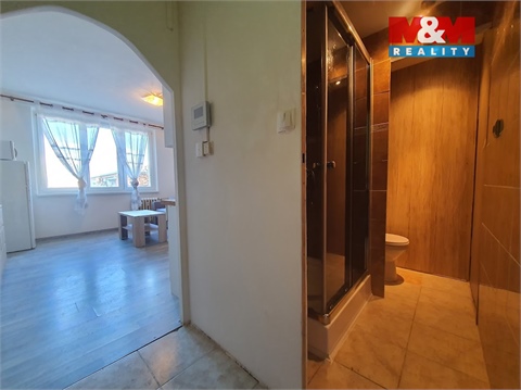 Pronájem bytu 1kk, 20 m² 2