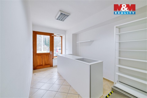 Pronájem obchodních prostor, 40 m² - 8