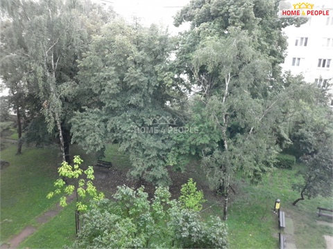 Pronájem bytu 1+1, 38 m² 8