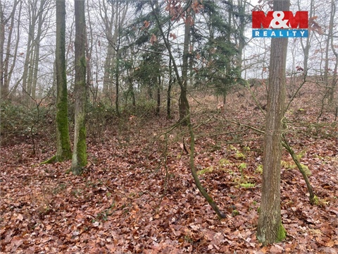 Prodej lesu, 9 178 m² 4