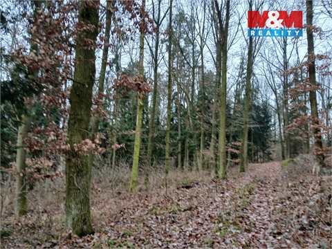 Prodej lesu, 9 178 m² - 2