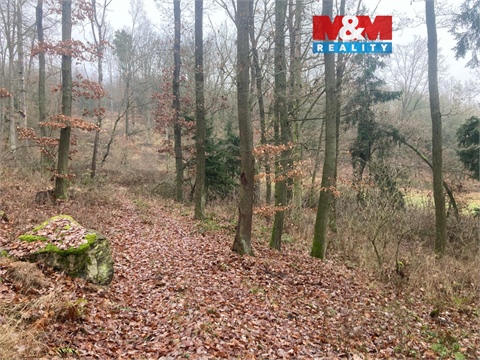 Prodej lesu, 9 178 m² 0