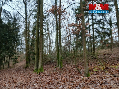 Prodej lesu, 9 178 m² 2