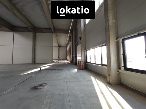 Pronájem skladu / haly, 3 600 m² 6