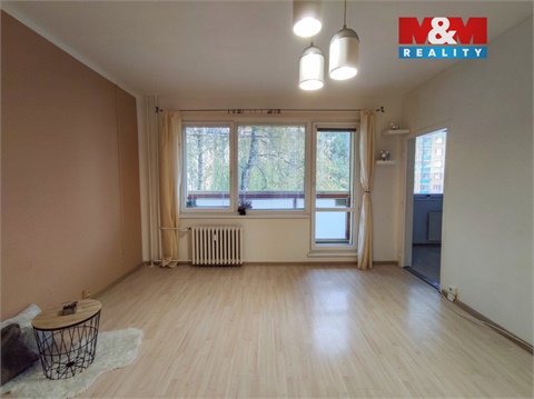 Pronájem bytu 3+1, 63 m² - 6