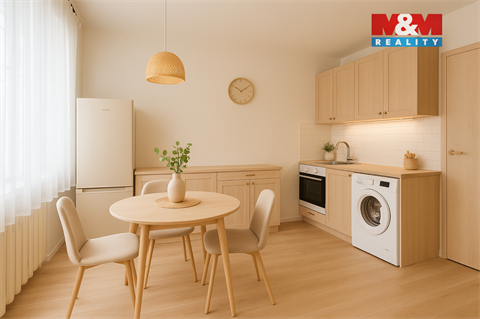 Prodej bytu 3+1, 54 m² 6