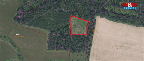 Prodej lesu, 4 545 m² - 0