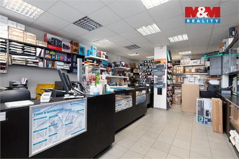 Prodej obchodních prostor, 720 m² - 6