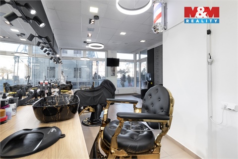 Prodej obchodních prostor, 720 m² - 4