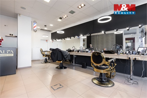 Prodej obchodních prostor, 720 m² 4