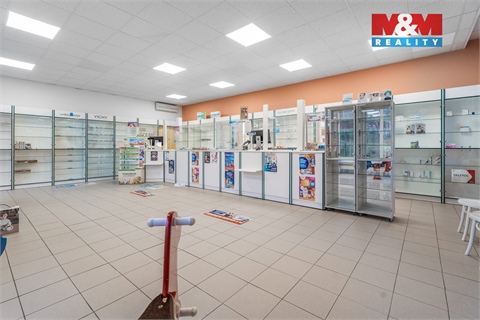 Pronájem obchodních prostor, 181 m² - 6