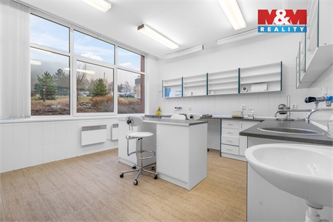 Pronájem obchodních prostor, 181 m² - 8