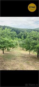 Prodej sadu, 1 592 m² 4