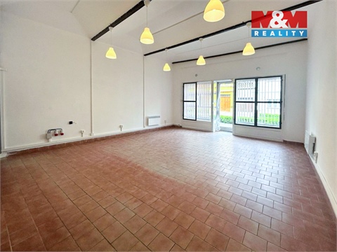 Pronájem obchodních prostor, 66 m² - 6