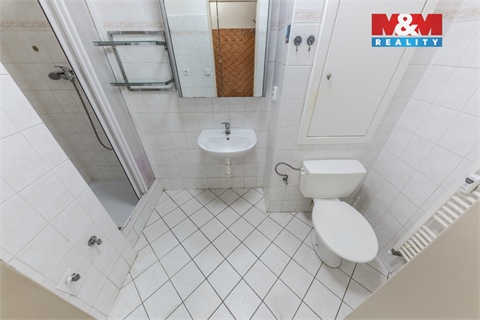 Prodej bytu 1+1, 28 m² - 4