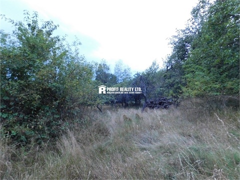 Prodej stavebního pozemku, 2 213 m² - 8