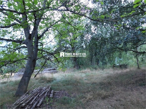 Prodej stavebního pozemku, 2 213 m² 8