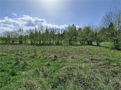 Prodej sadu, 1 043 m² 0