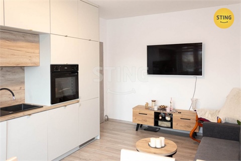 Pronájem bytu 3kk, 56 m² - 0