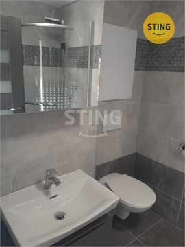 Pronájem bytu 1+1, 43 m² 6