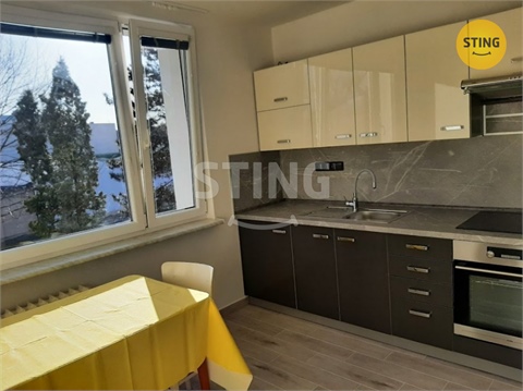 Pronájem bytu 1+1, 43 m² - 0