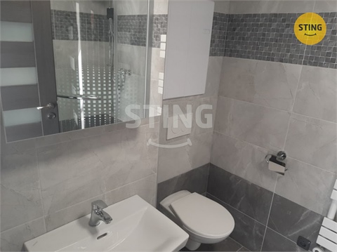 Pronájem bytu 1+1, 43 m² 2