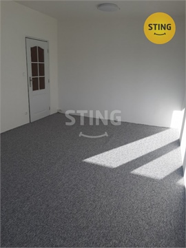 Pronájem bytu 1+1, 43 m² - 0