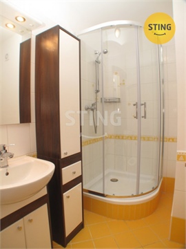 Pronájem bytu 1kk, 32 m² 4