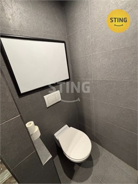 Pronájem bytu 2+1, 43 m² 8