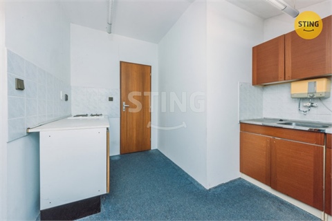 Prodej komerčního objektu, 880 m² - 16