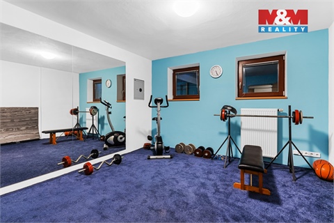 Prodej rodinného domu, 323 m² - 16