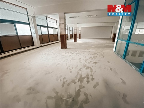 Pronájem obchodních prostor, 500 m² 4