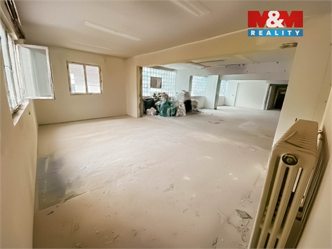 Pronájem obchodních prostor, 500 m² - 6